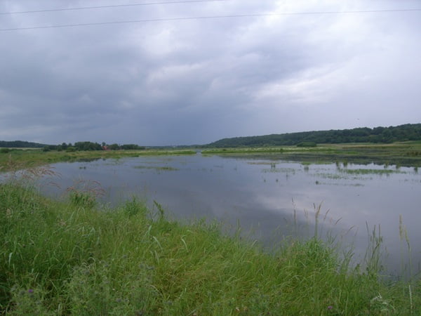 Vådområder