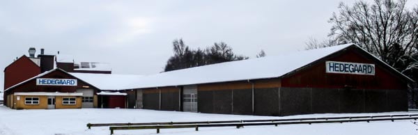 Vinter i skelund