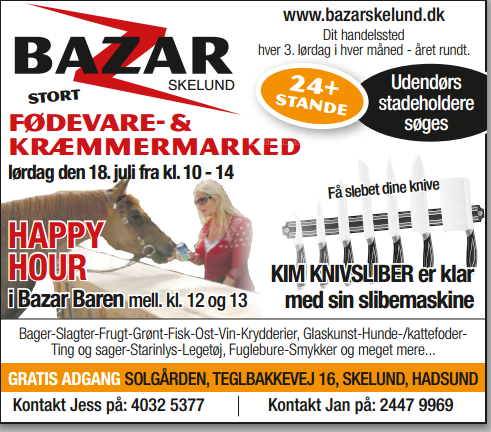 Bazar Skelund annonce juli