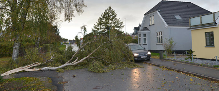 Storm 2