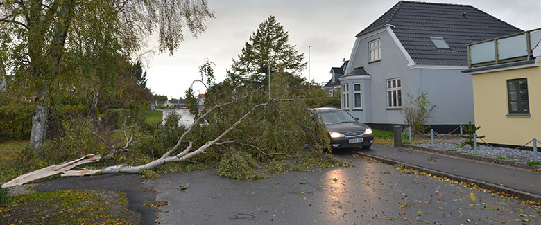 Storm 2