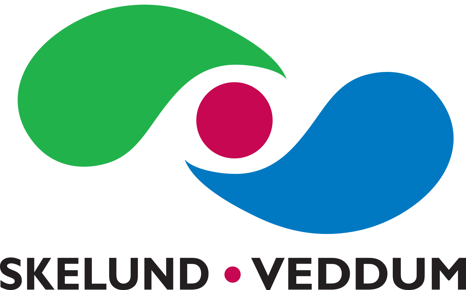 Skelund veddum logo