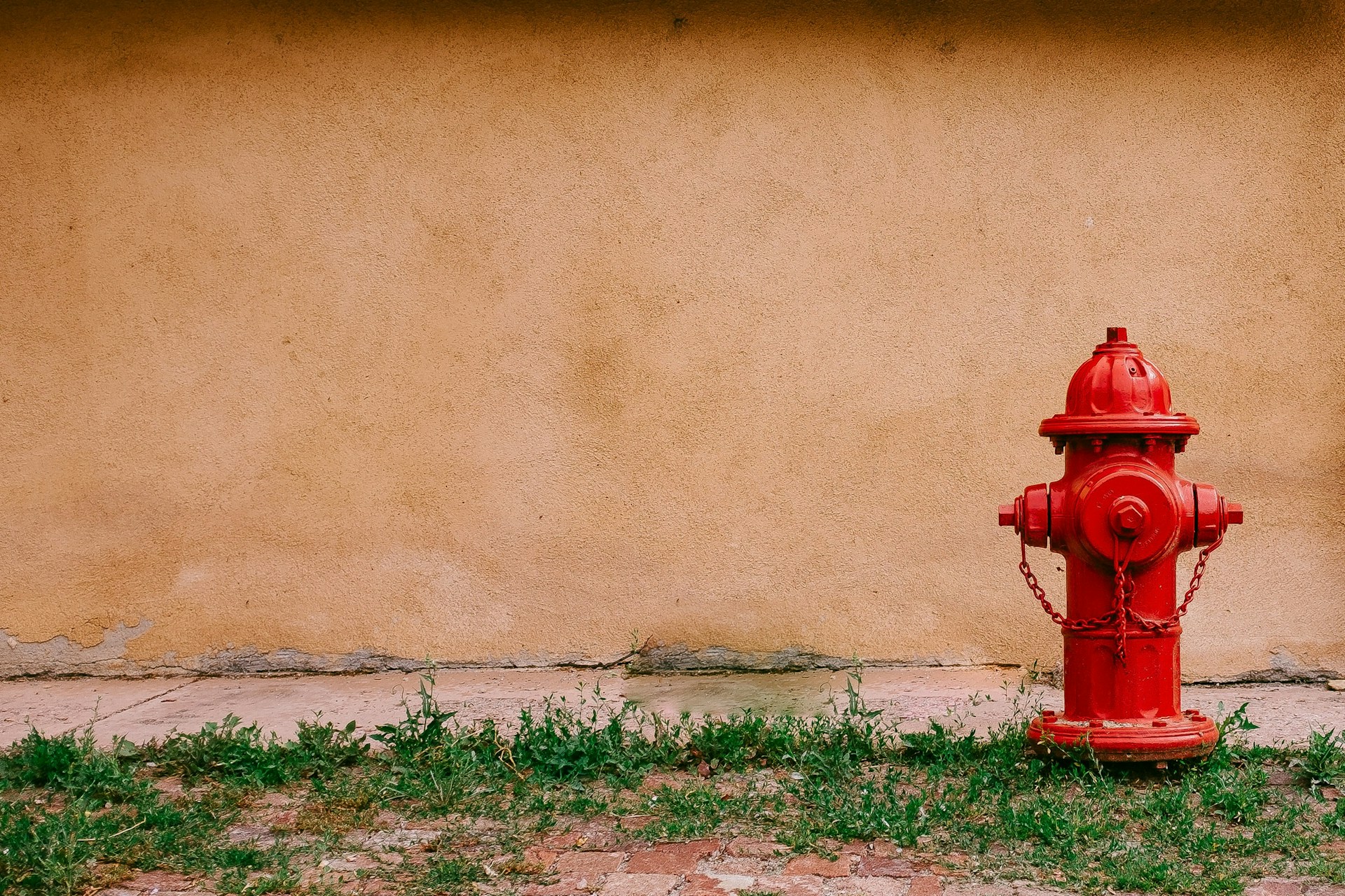 Ashim d silva WaiPcZlkDFQ unsplash